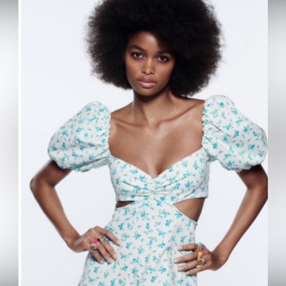 NWT Zara Blue Floral Mini Dress